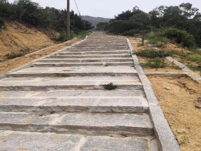 青石板價格多少錢一平米 青石板由于質(zhì)量等級等不同,價格也會有所差別,一級青石板價格最高一平方在一百元左右,二級工程板價格在七八十元,具體價格要看使用數(shù)量、石材要求